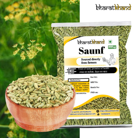 Fennel Seeds