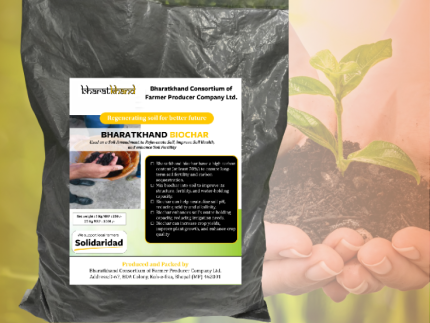 Biochar