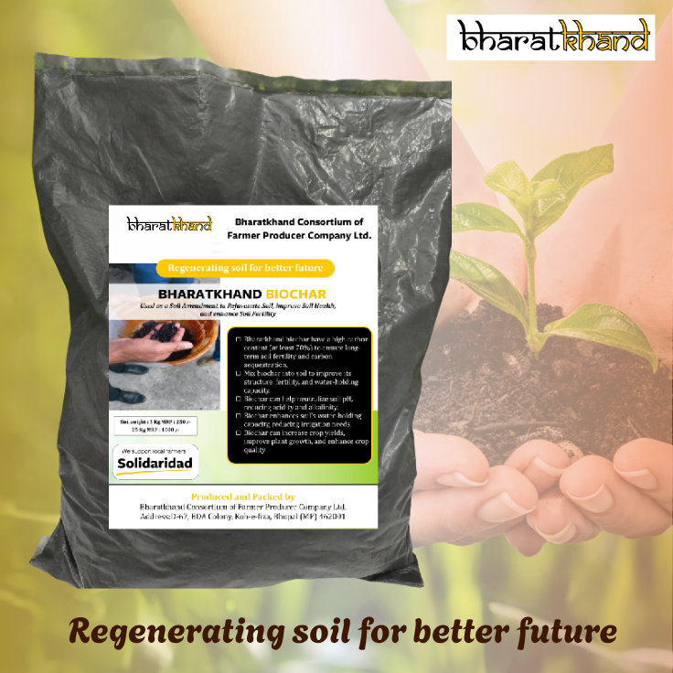 Biochar
