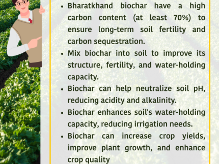 Biochar