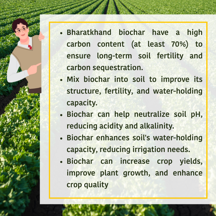 Biochar