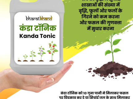 Kanda Tonik