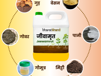 Jeevamrut
