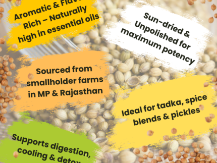 Coriander seeds