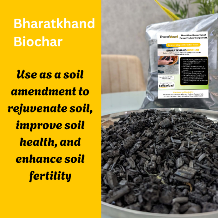 Biochar