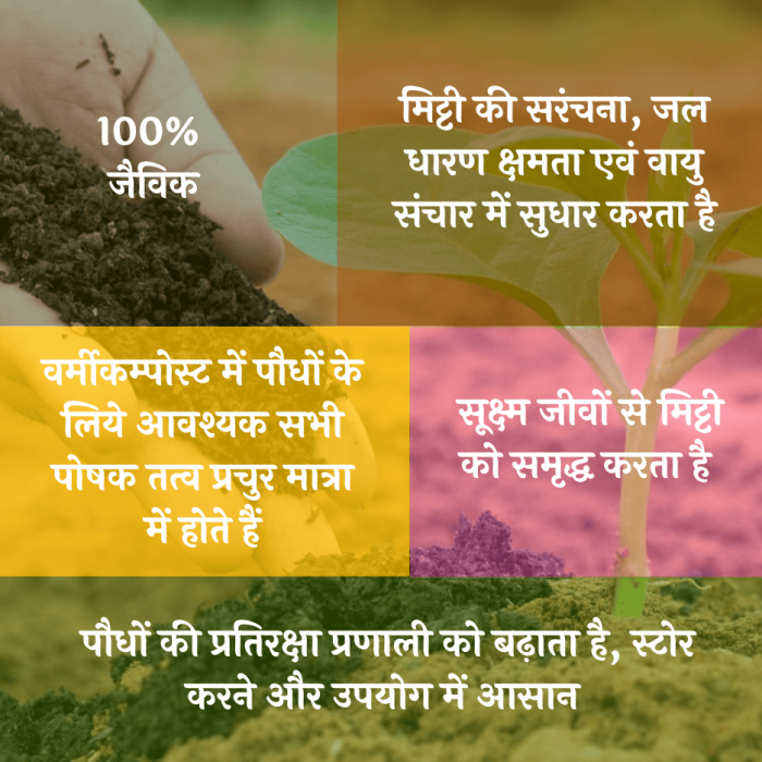 Vermicompost