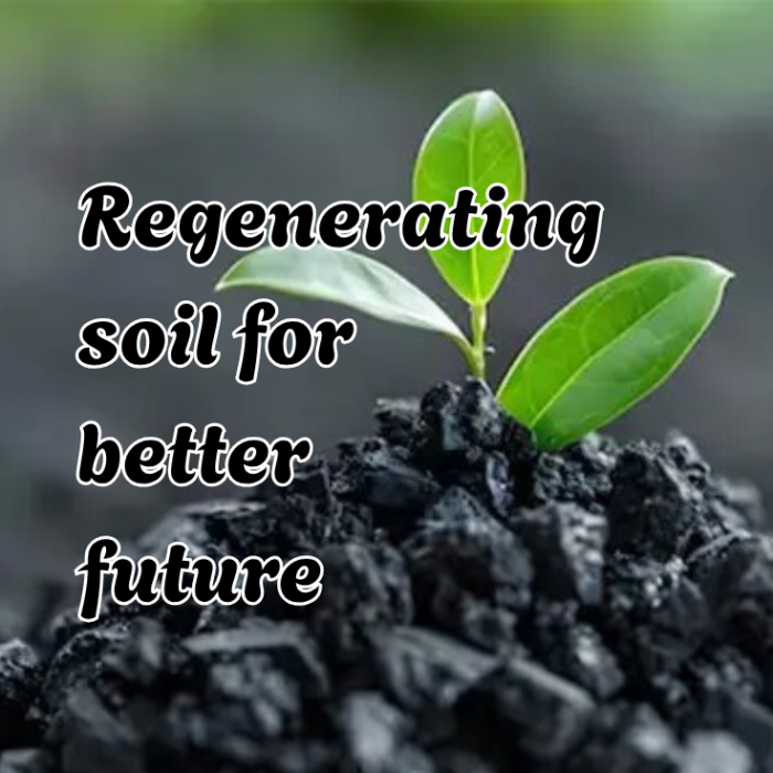 Biochar