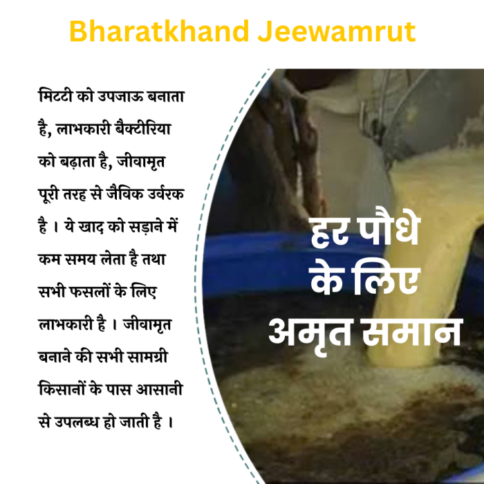 Jeevamrut