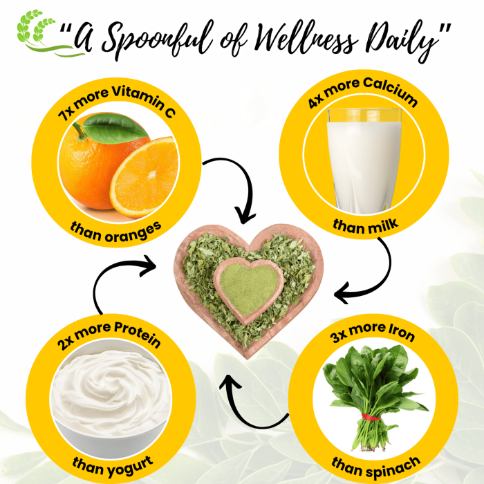 Moringa Powder